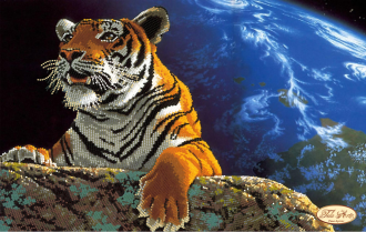 ТА-079 Амурский тигр. Спасем планету 24х37