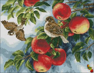 ПК2-2236 Воробьи в яблоках 46х36 полная зашивка