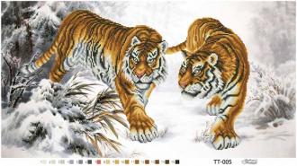 ТТ-005 Уссурийские тигры 65х35